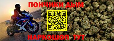 индика Будённовск