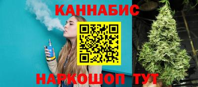 индика Будённовск