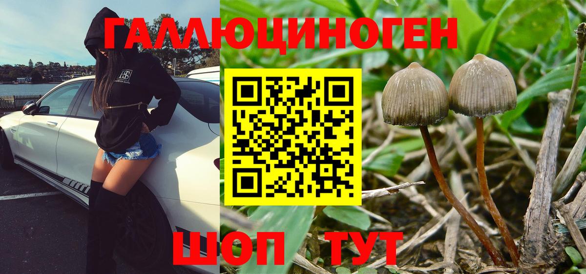 Галлюциногенные грибы мухоморы Рубцовск