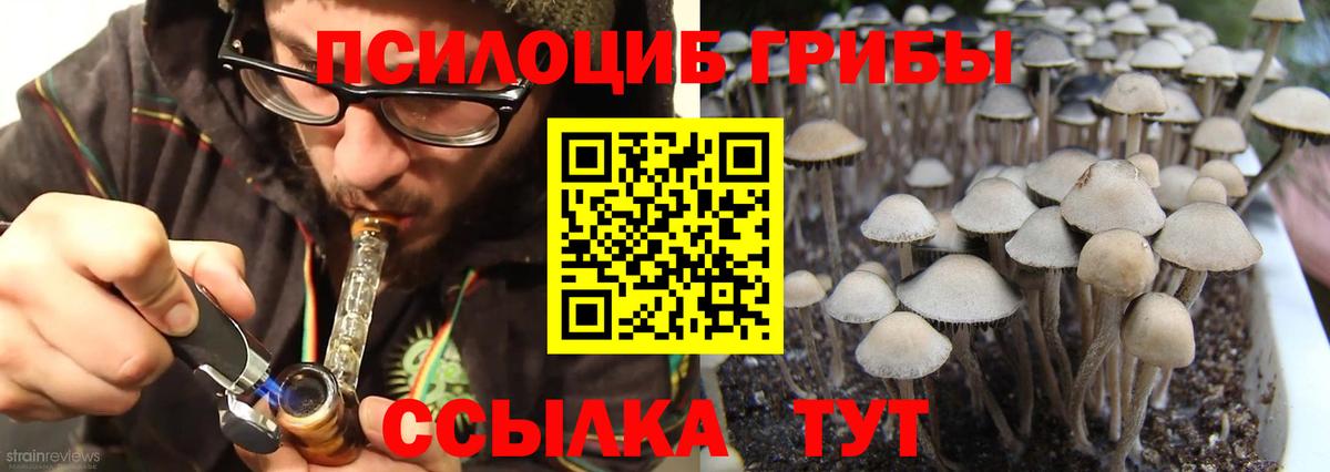 Рубцовск  Галлюциногенные грибы Psilocybe  Галлюциногенные грибы Cubensis  как найти наркотики  Вход с VPN 